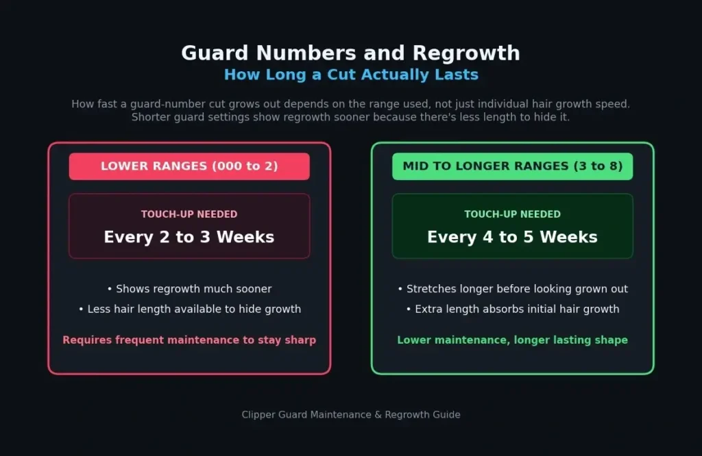 Infographic illustrating clipper guard regrowth timeline, showing hair length growth weeks after a fade or short buzz cut.